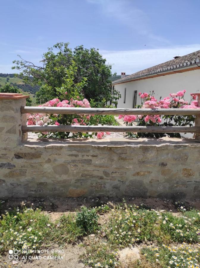 Cortijo La Laguna Ронда Екстер'єр фото