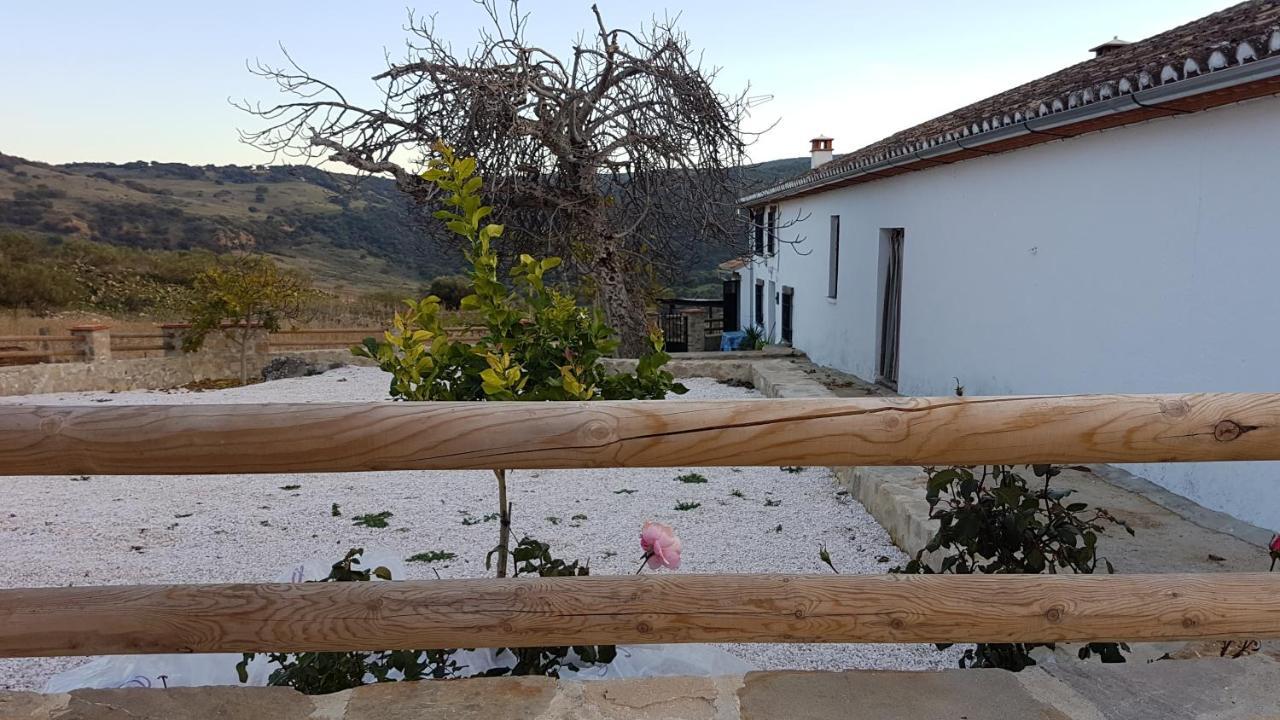 Cortijo La Laguna Ронда Екстер'єр фото